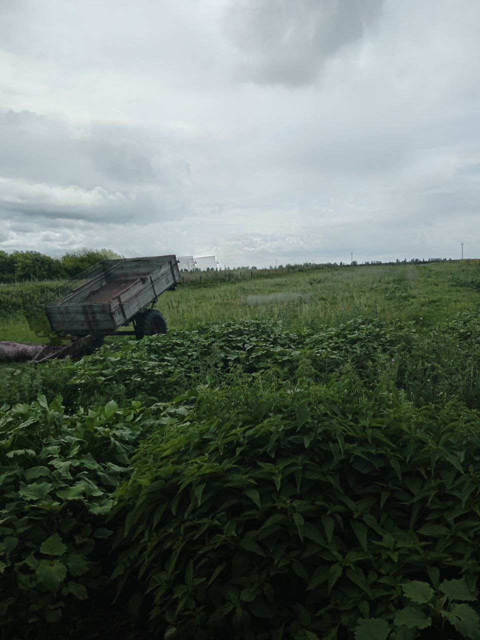 Продажа дома с участком и автомобилем Волга